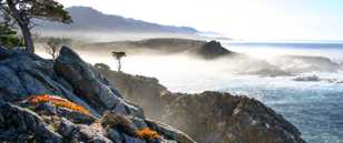 Point Lobos morning 2-0057